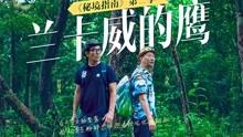 金龙送福 翰墨迎春